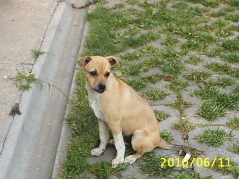 s2010013.jpg